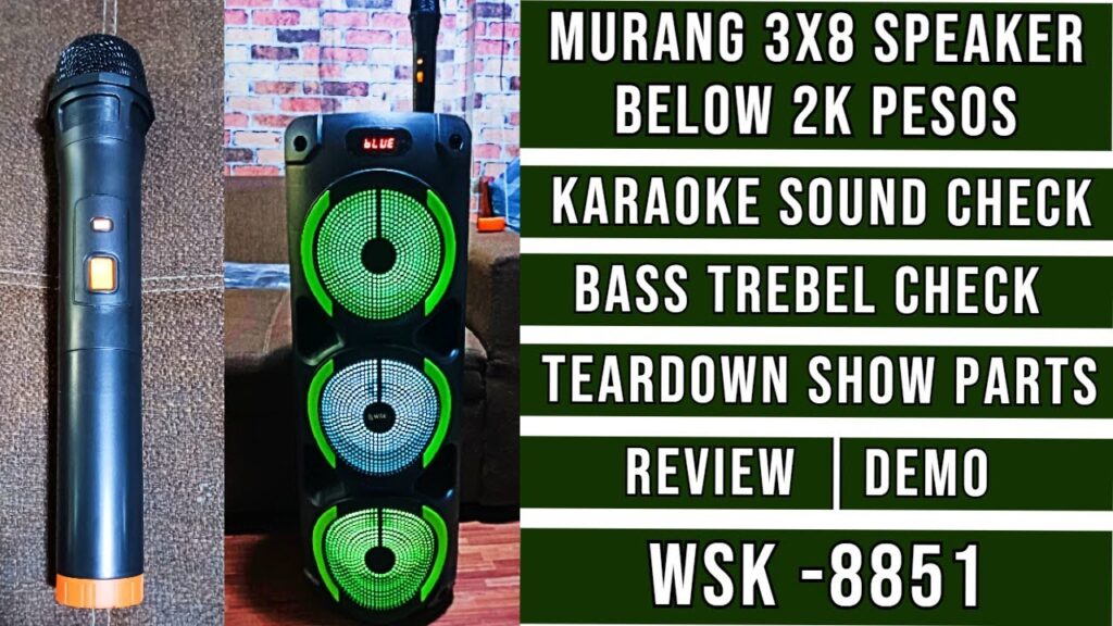 Part14 Bluetooth Speaker 3x8 Inch│WSK 8851 Review
